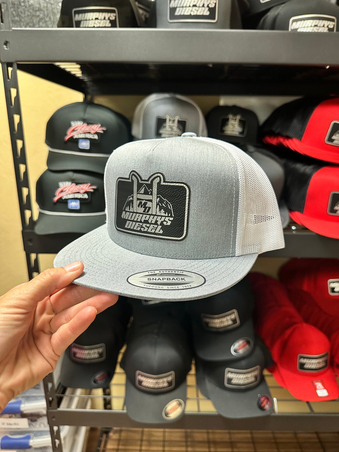 Mountain Logo Hat