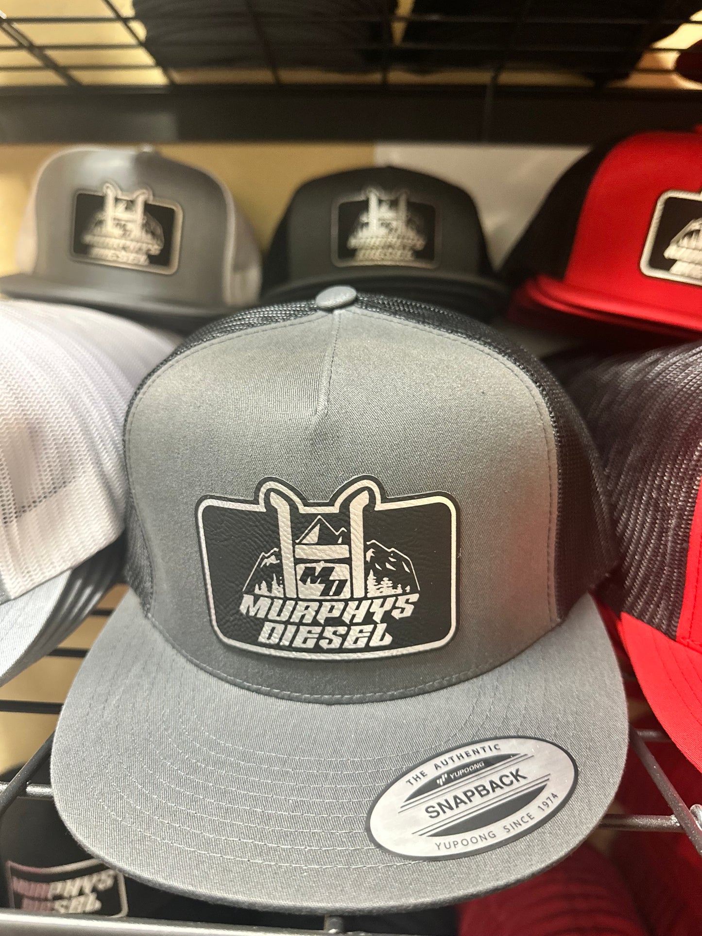 Mountain Logo Hat